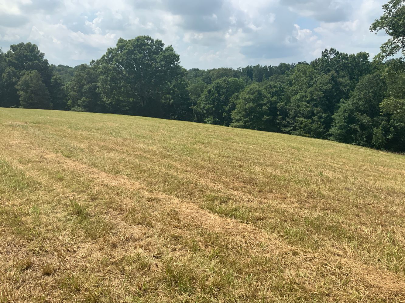 1915 Mount Zion Rd, Frankfort, KY 40601